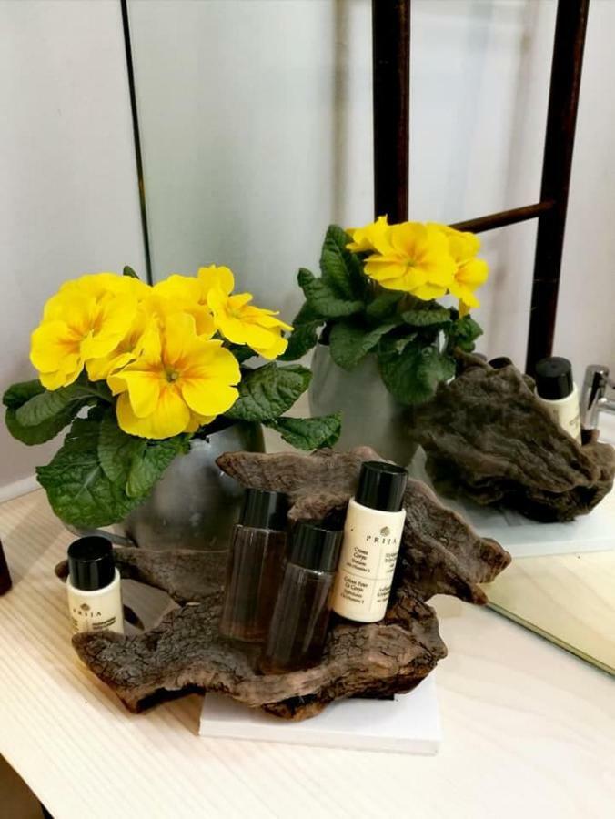 Milleunastella مونتيسكاليوزو المظهر الخارجي الصورة