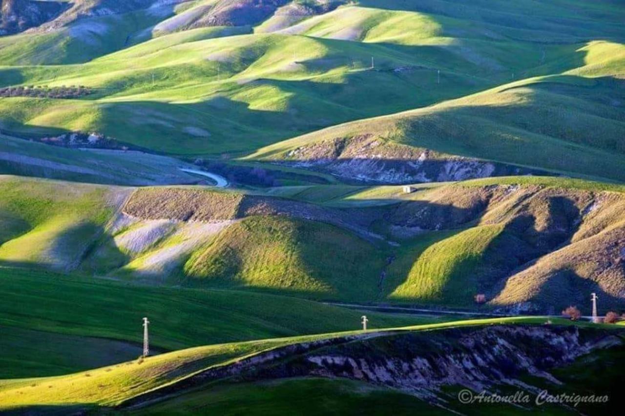 Milleunastella مونتيسكاليوزو المظهر الخارجي الصورة